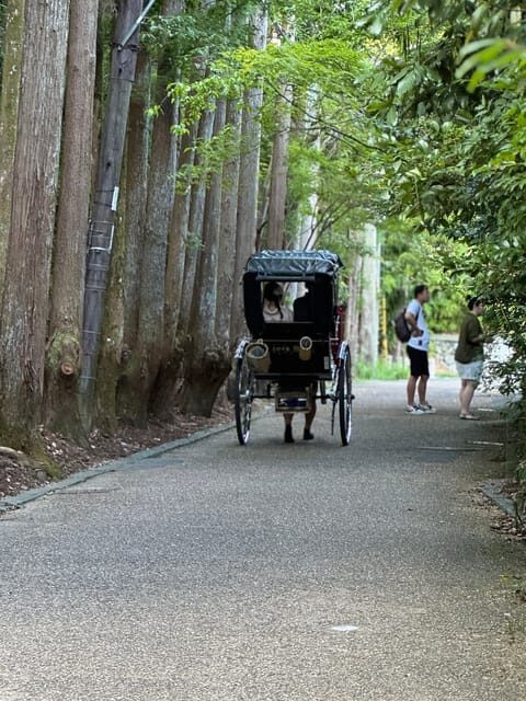 Kyoto: Avoid the Crowds at the Hidden Gems of Arashiyama - Discovering the Bamboo Forest and the Temples