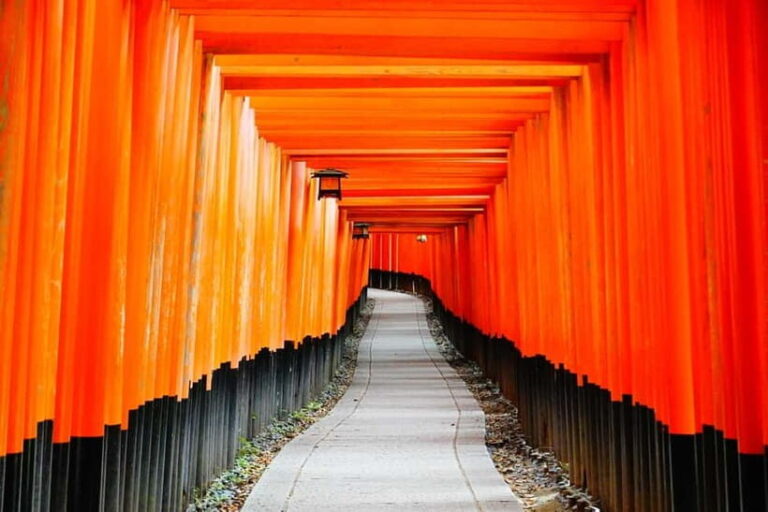 Kyoto: City Highlights Private Walking Tour - Who Will Get the Most Out of This Tour?