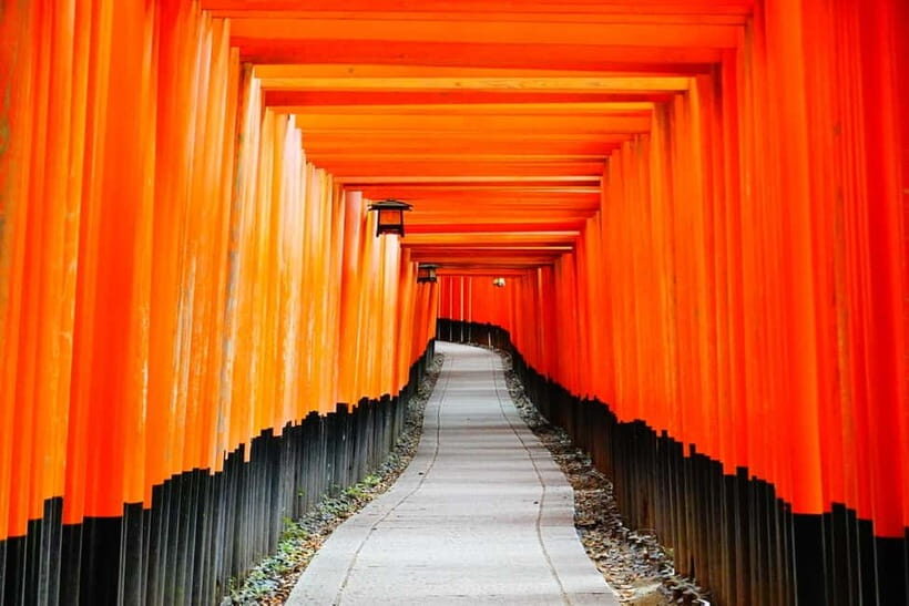 Kyoto: City Highlights Private Walking Tour - Who Will Get the Most Out of This Tour?