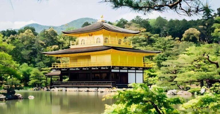 Kyoto: Customizable Full-Day Tour with Privarte Transfers - What Travelers Are Saying