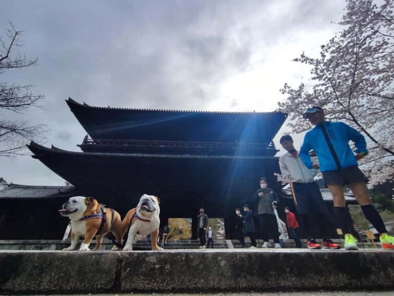 Kyoto: Daimonji Trail Hiking Tour with Historical Sites - Hiking the Daimonji Trail