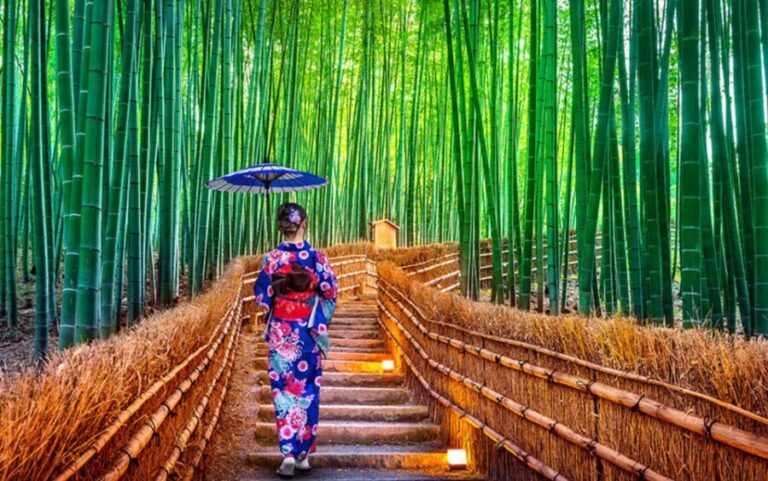Kyoto Day Tour with Certified Tour Guide & Luxury vehicle - How the Tour Works