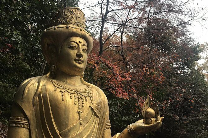Kyoto: Descending Arashiyama (Private) - Practical Details and Tips