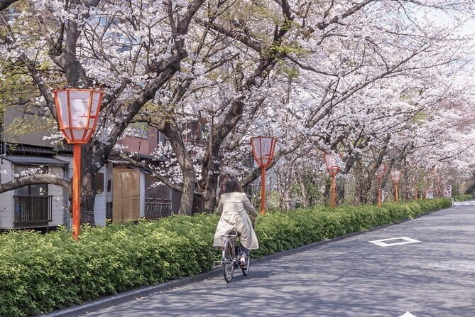 Kyoto E-Bike Tour of Hidden Gems, Backstreets and Temples - The Sum Up
