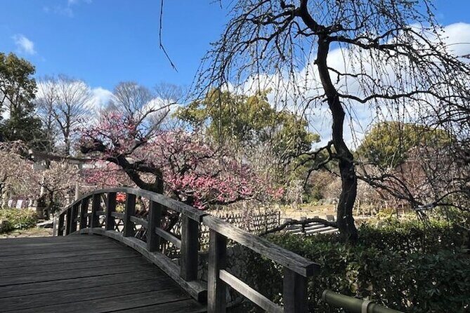 Kyoto Early Bird Half Day Private Tour with Transfer - Transportation and Logistics