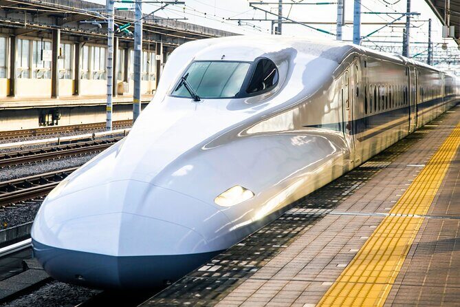 Kyoto Early Bird Tour Tokyo Round Trip Shinkansen Option - The Value of the Experience