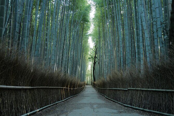 Kyoto Early Morning Tour with English-Speaking Guide - FAQ