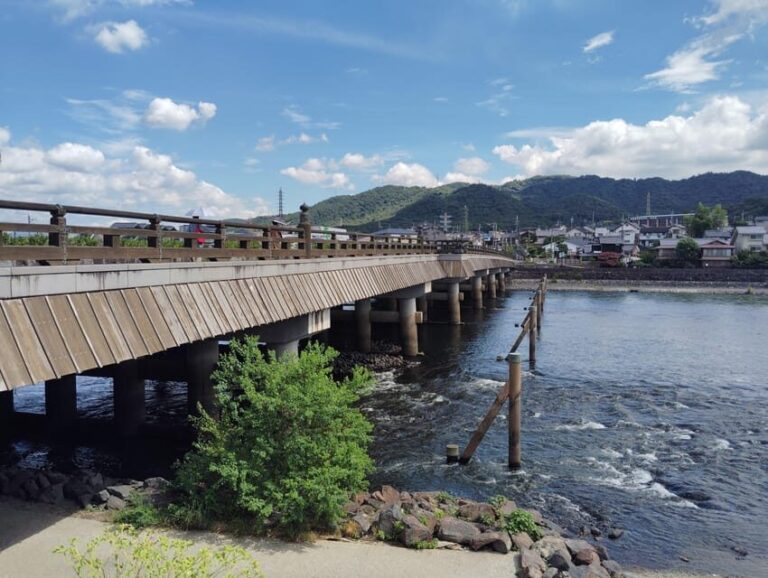 Kyoto: Enjoy Byodoin Temple and Tea Sweets - 90 Min Tour - The Itinerary in Detail