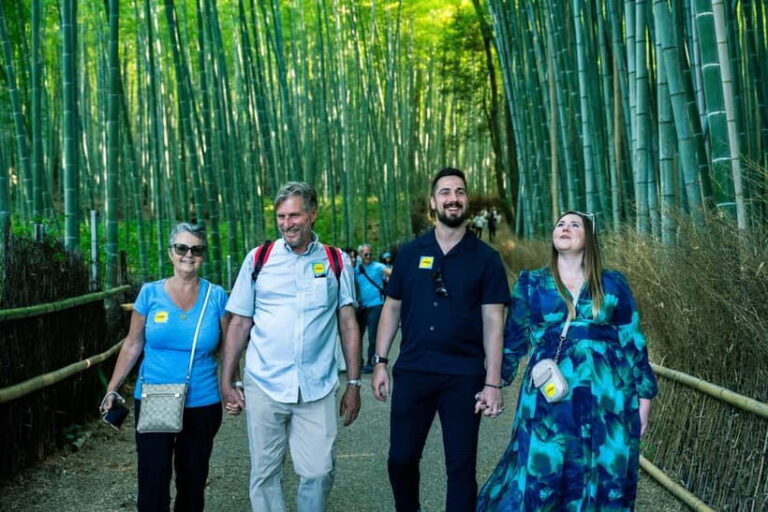 Kyoto: Full-Day Guided Tour of Kyoto's Top Highlights - Who Is This Tour Best For?