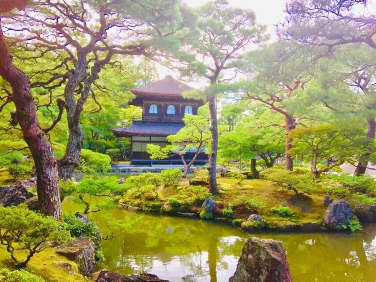 Kyoto: Full-Day Private Guided Tour of Temples and Shrines - Practical Details and Considerations