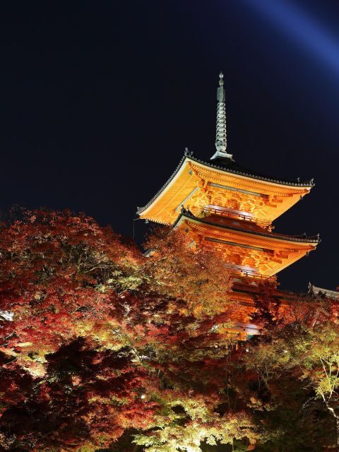 Kyoto: Fushimi Inari-taisha y Kiyomizu-dera (Spanish Guide) - Practical Details and Tips