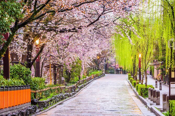 Kyoto Geisha District Walking Tour in Gion - What You’ll Experience