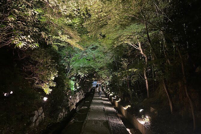 Kyoto Gion Calm Night Walking Tour with a Local Guide - The Itinerary: What You’ll See and Experience