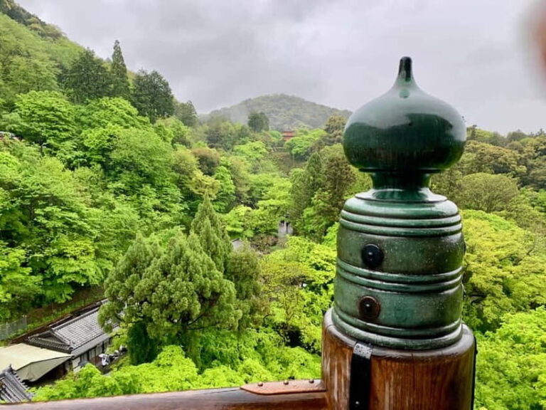 Kyoto: Gion District Walking with an Expert Local Tour Guide - Practical Details and Value