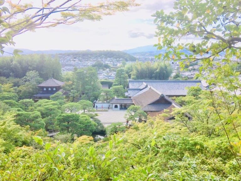 Kyoto: Half-Day Private Guided Tour of the Silver Pavilion - What’s Included and What’s Not