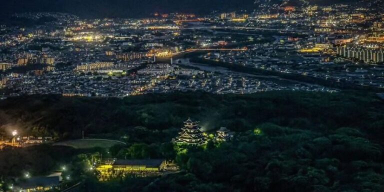 Kyoto: Helicopter Cruising Tour - Why This Tour Works for Different Travelers