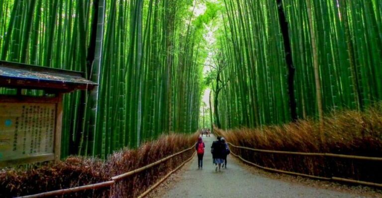 Kyoto: Japanese Gardens Private Customizable Tour - What to Expect on Your Tour