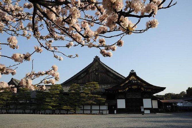 Kyoto Morning Tour (Round Trip from Kyoto) - The Experience: Pros and Cons