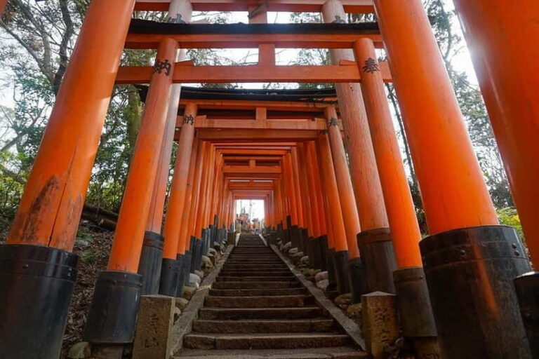 Kyoto & Nara: Day Trip Highlights Tour with a Private Car - The Value of This Experience