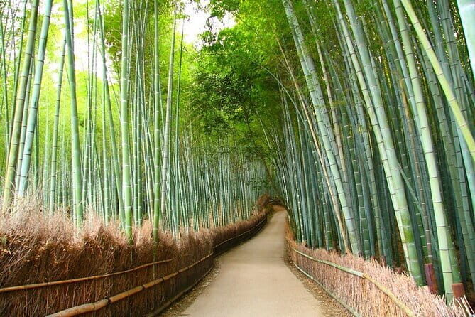 Kyoto & Nara Private Tour from Osaka Kyoto Hotel Pick-up - Who Should Consider This Tour?