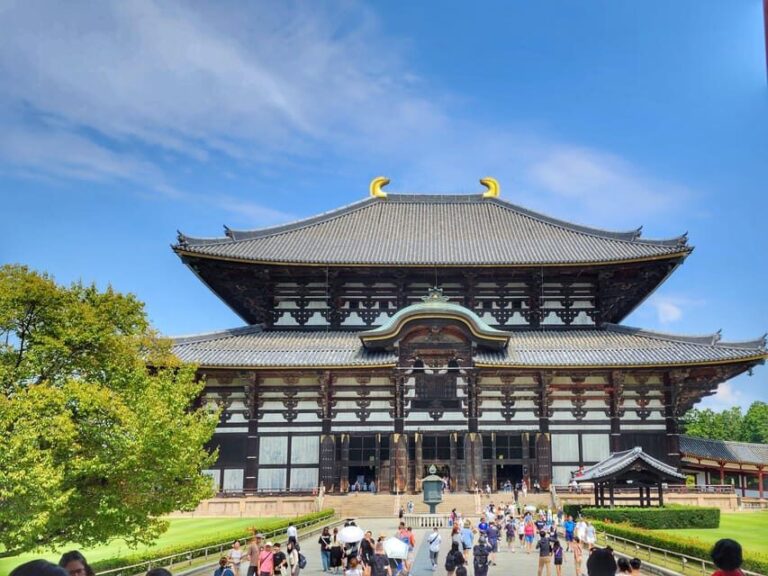 Kyoto: Nara, Todaiji, Kasuga Taisha Shrine Private Full Day - Why This Tour Offers Great Value