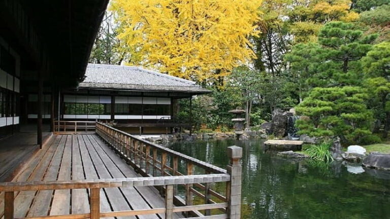 Kyoto: Nishi Honganji, Higashi Honganji, and Ginkakuji Tour - What Makes This Tour Stand Out?