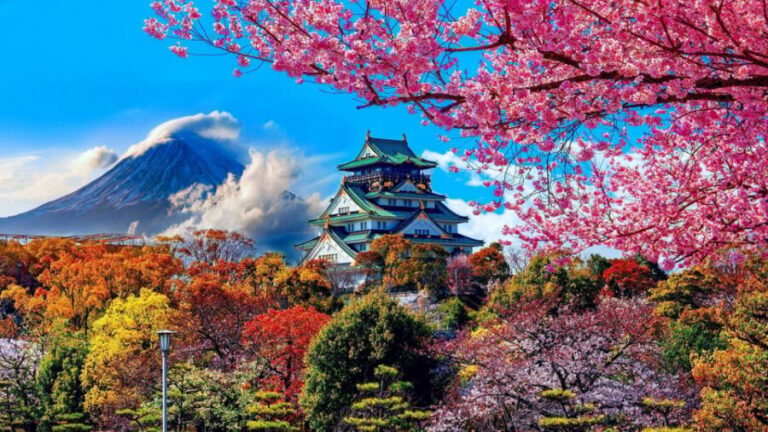 Kyoto/Osaka/Nara Private Customized Tour with Guide - The Sum Up
