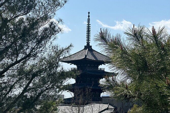 Kyoto Private Customizable Day Trip With English chauffeur - Additional Details and Practicalities