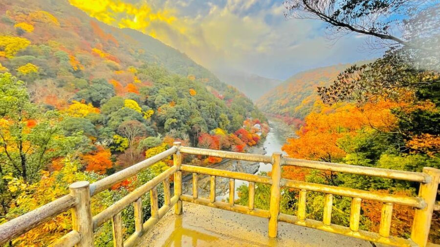 Kyoto: Private Customizable Guided tour with Luxury Vehicle - Frequently Asked Questions