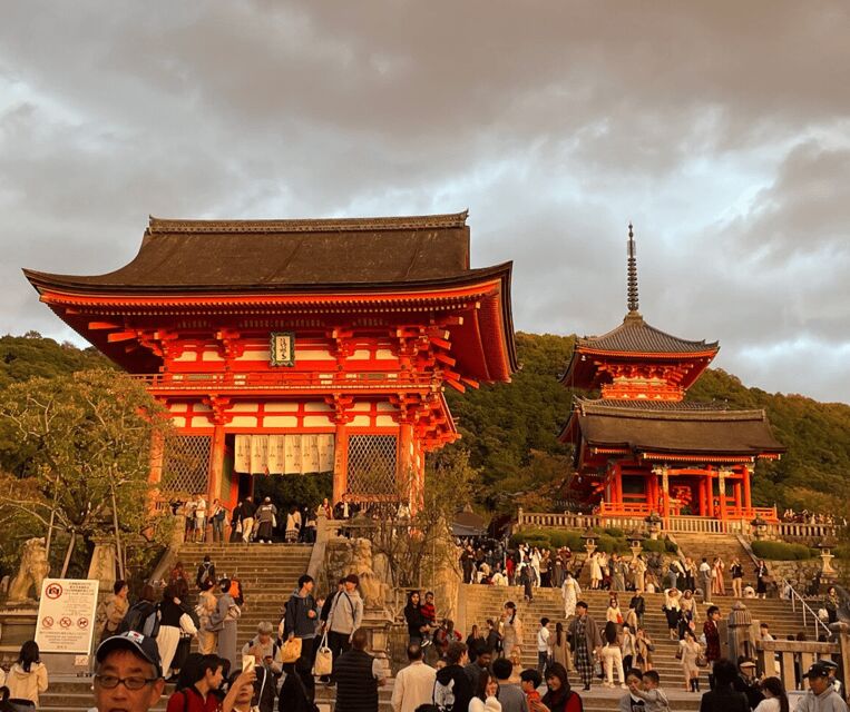 Kyoto: Private Highlights Tour with Guide and Luxury Vehicle - What You Can Expect on This Tour