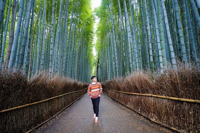 Kyoto Private Photo Shoot & Tour by SnapKyoto - The Itinerary in Detail