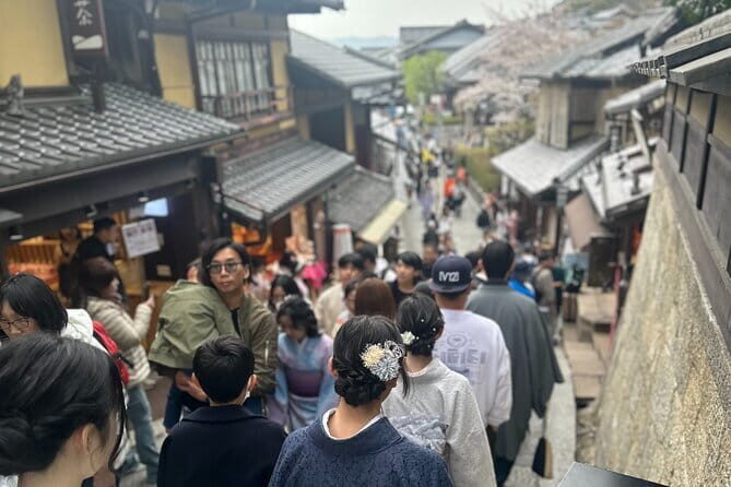 Kyoto private tour |english speaking driver only : No guide - Practicalities and What to Expect