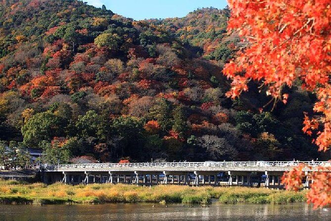 Kyoto Sagano Bamboo Grove & Arashiyama Walking Tour - Final Thoughts