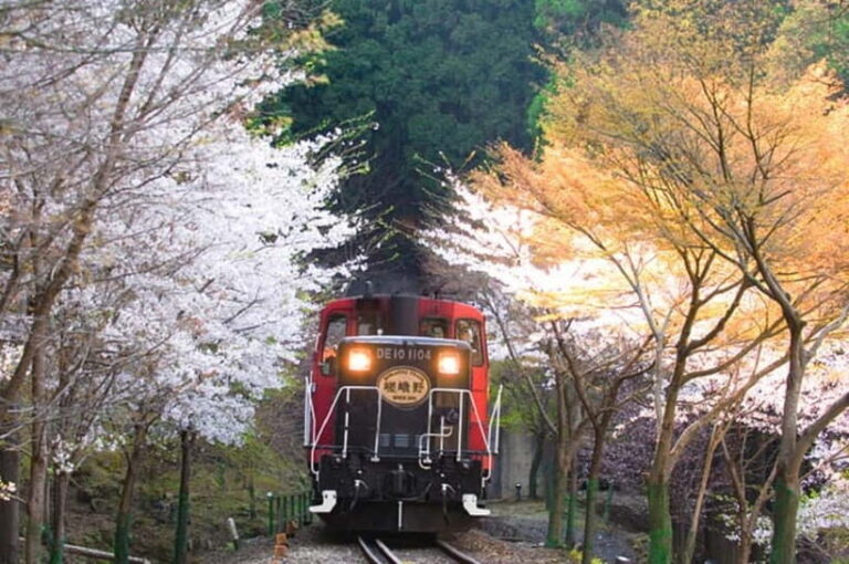 Kyoto: Sagano Romantic Train and Hozugawa River Cruise - Scenic Highlights: Seasons and Landscapes