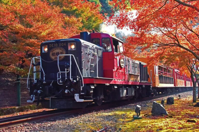 Kyoto Sagano Romantic Train in Arashiyama Bus Tour - Review of the Kyoto Sagano Romantic Train in Arashiyama Bus Tour