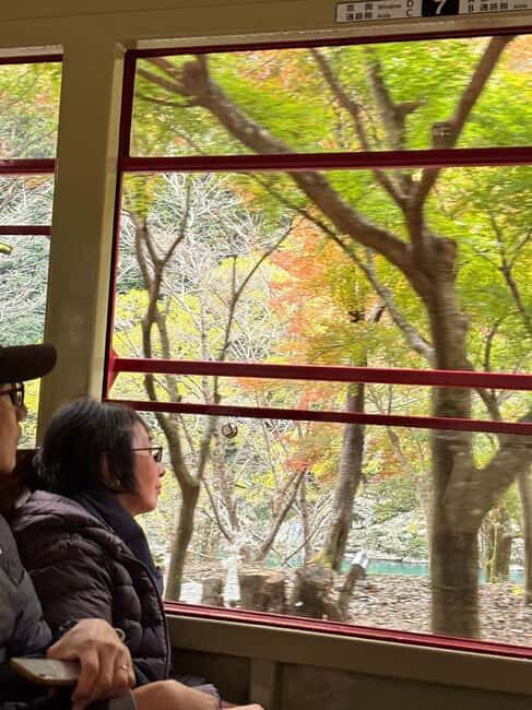 Kyoto: Sagano Scenic Railway, River Cruise, & Sake Tour - What Makes This Tour Stand Out?
