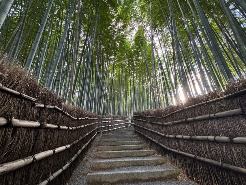 Kyoto: Stroll around the Depths of Arashiyama - Who Should Consider This Tour?