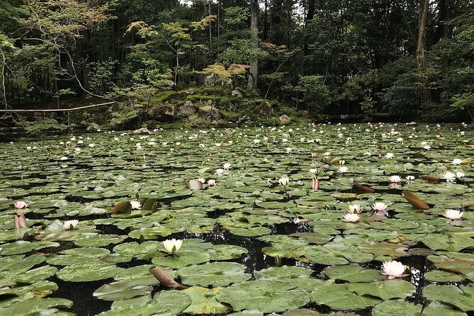 Kyoto: The Path Less Traveled (Private) - Who Will Love This Tour?