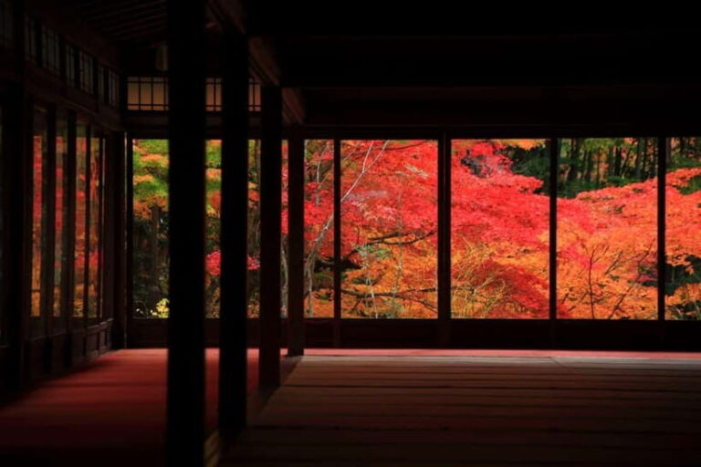 Kyoto Top Highlights Full-Day Trip from Osaka - Overall Impression and Value