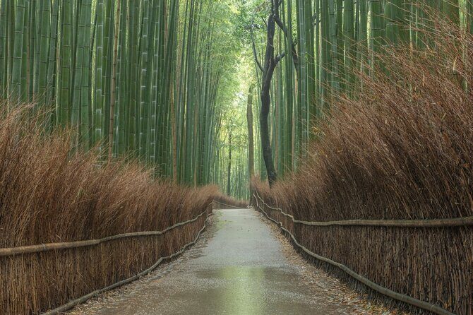Kyoto top must-see Golden pavilion and Bamboo forest half-day Private tour - The Sum Up