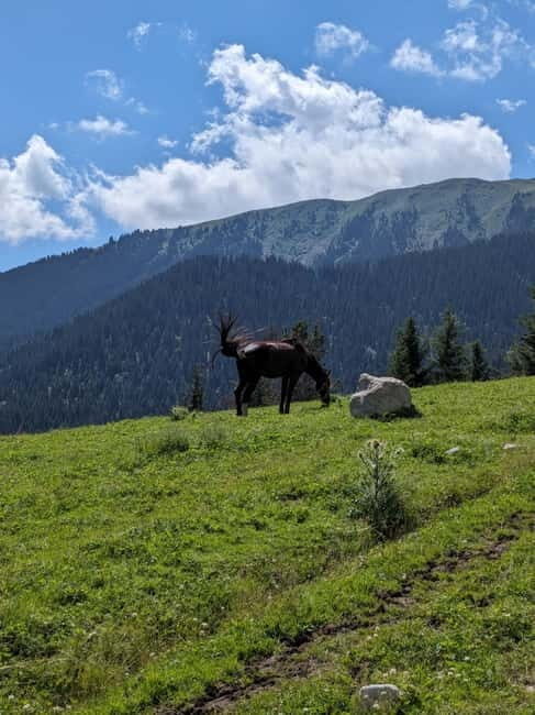 Kyrgyzstan: Pearl of the Heavenly Mountains - Who Will Love This Tour?