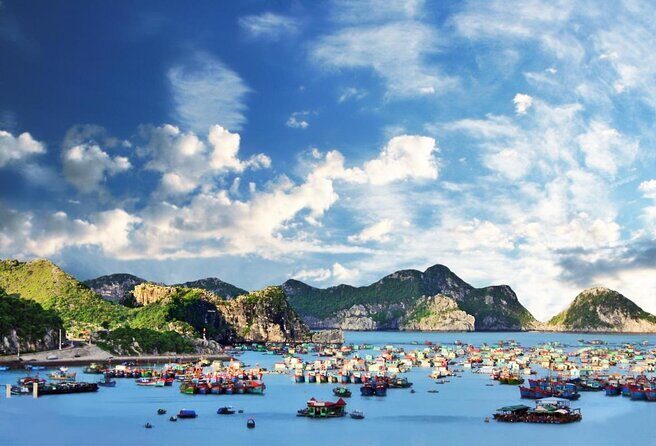 La Pandora Cruise Explore Ha Long Bay and Cat Ba Island 2 days 1 night on boat - The Experience of Comfort and Authenticity
