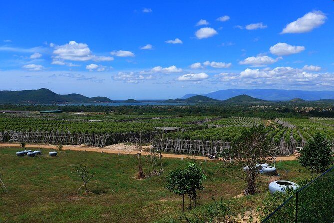 La Plantation tour (discovering Kampot Pepper) + Lunch - The Delight of Khmer Cuisine