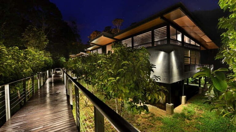 Lahad Datu: 3-Day Danum Valley Rainforest Adventure - Practical Tips for the Jungle Trip
