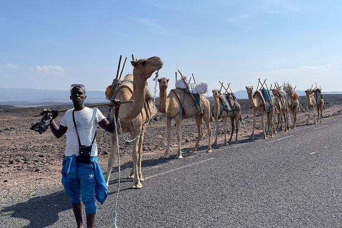 Lake Assal Day Trip from Djibouti - What to Expect During the Day