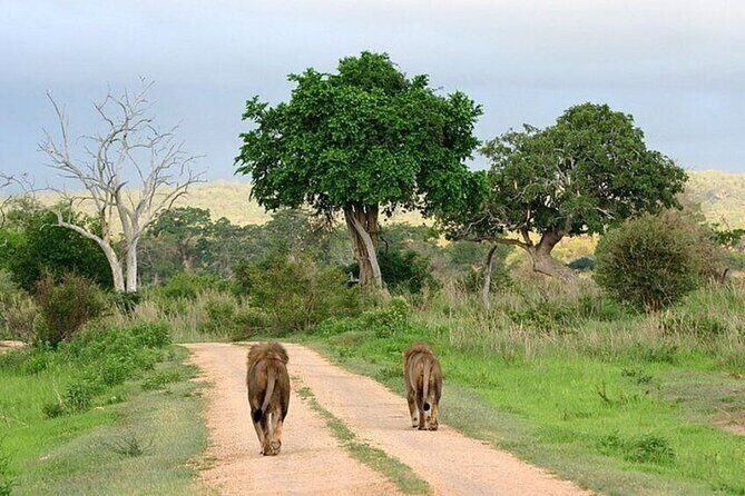 Lake Naivasha And Lake Nakuru Overnight Tour - The Sum Up: Is It Worth It?