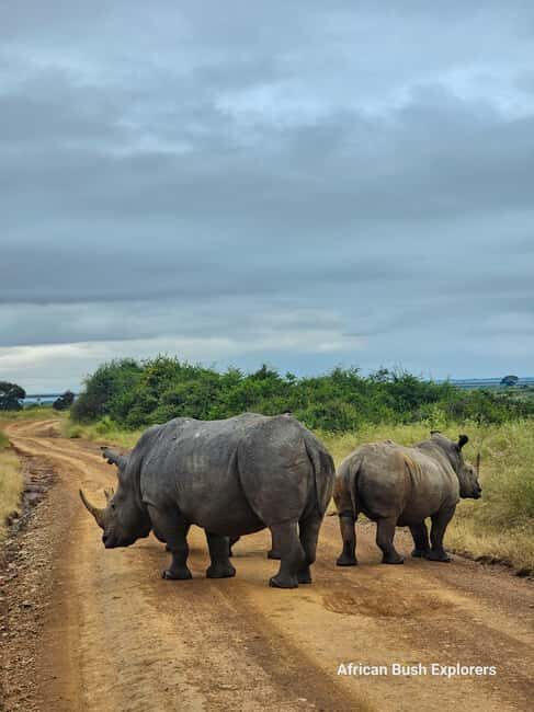 Lake Nakuru 2 Days 1 Night Safari. - Frequently Asked Questions