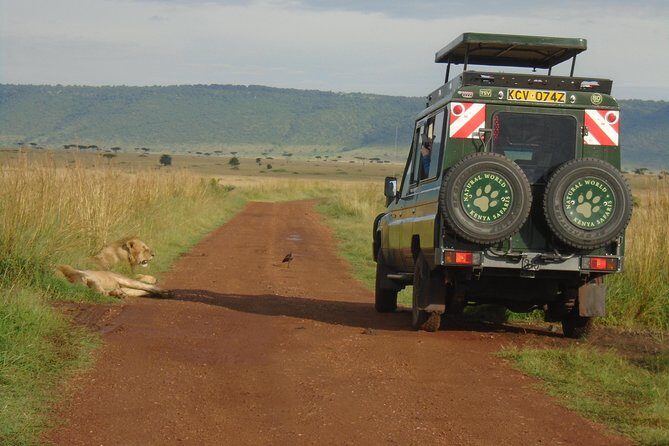 Lake Nakuru, Naivasha & Masai Mara 4 Days Private Jeep Safari - Who Will Love This Safari?