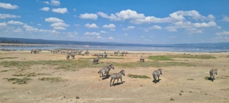 Lake Nakuru National Park Day Tour from Nairobi - A Detailed Look at the Lake Nakuru Day Tour