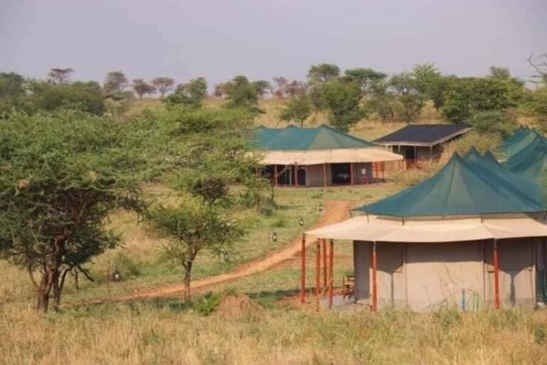 Lake Natron Day trip - Is It Worth the Price?